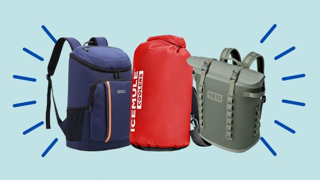 Enjoy The Magic With The 3 Best Cooler Backpacks For Disney Trips