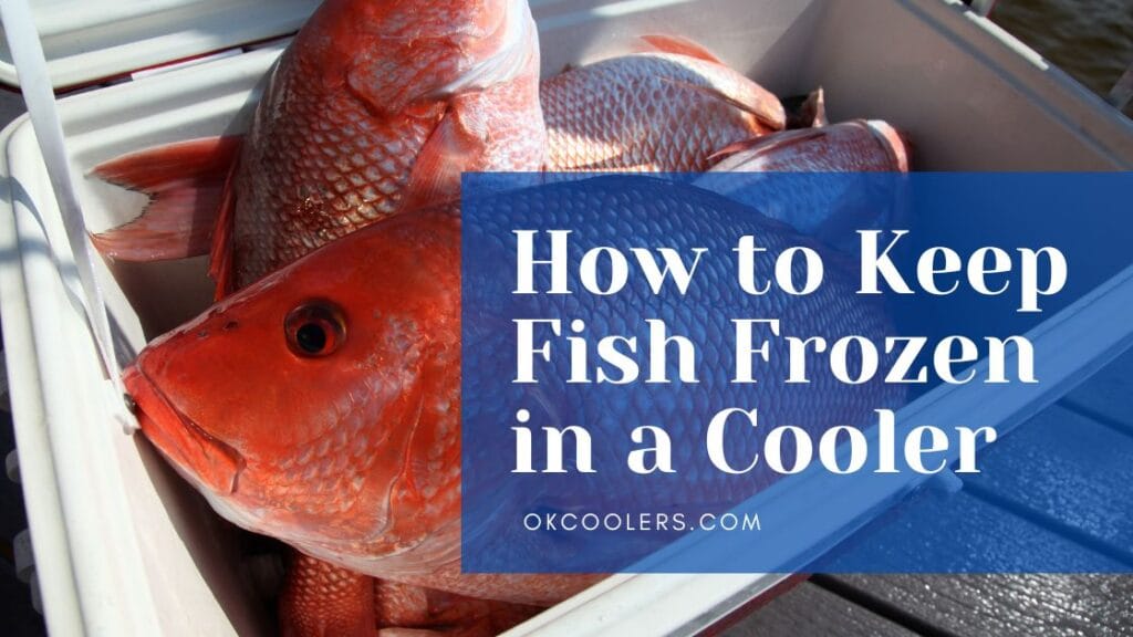 How To Keep Fish Frozen In A Cooler 4 Essential Tips For Anglers