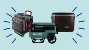 Best Cooler For Sand
